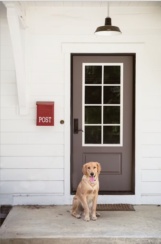 Bringing Your Puppy or Kitten Home: What to Expect in the First Week ?