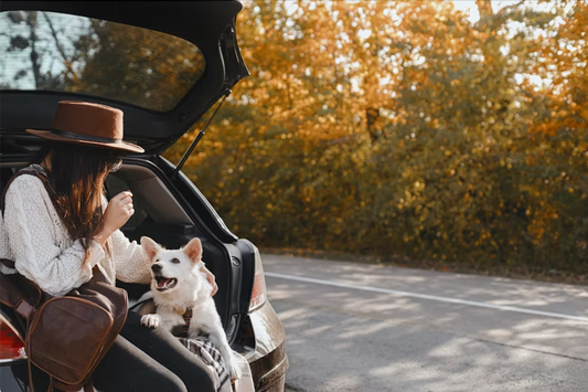 Traveling with Your Pet: The Ultimate Vacation Guide for New Pet Parents