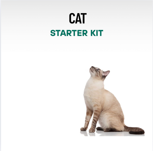 Minet Cat Starter Kit