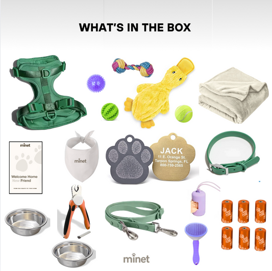 Minet Dog Starter Kit