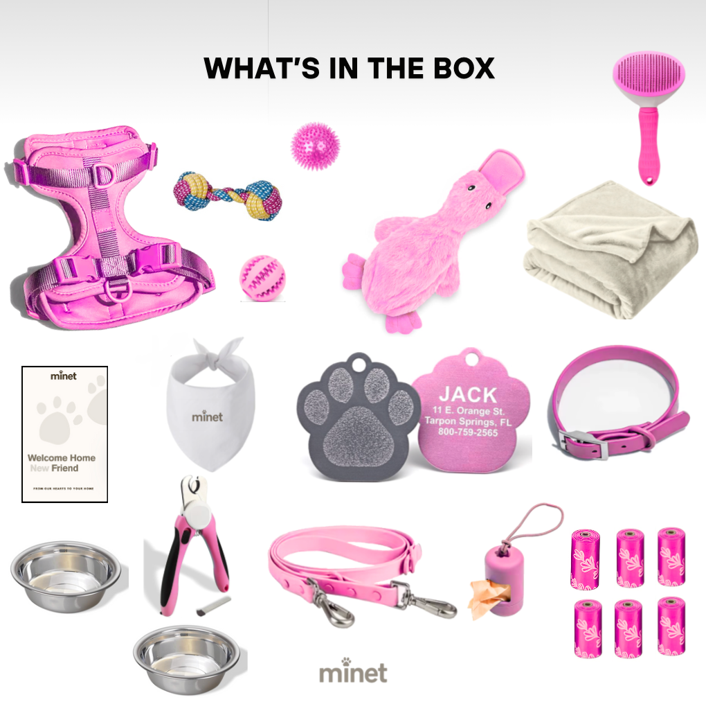 Minet Dog Starter Kit