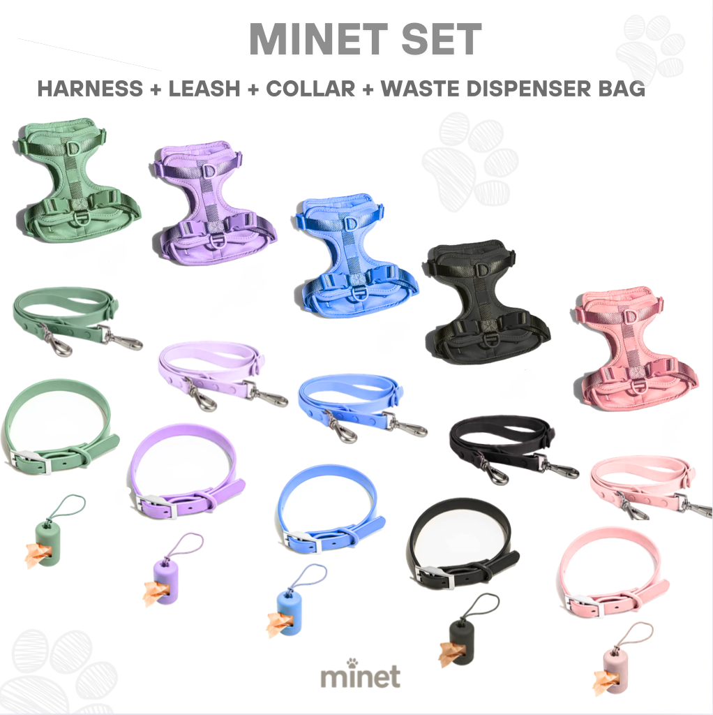 Minet Dog Starter Kit