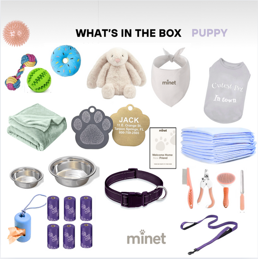Minet Tiny Paws Starter Kit