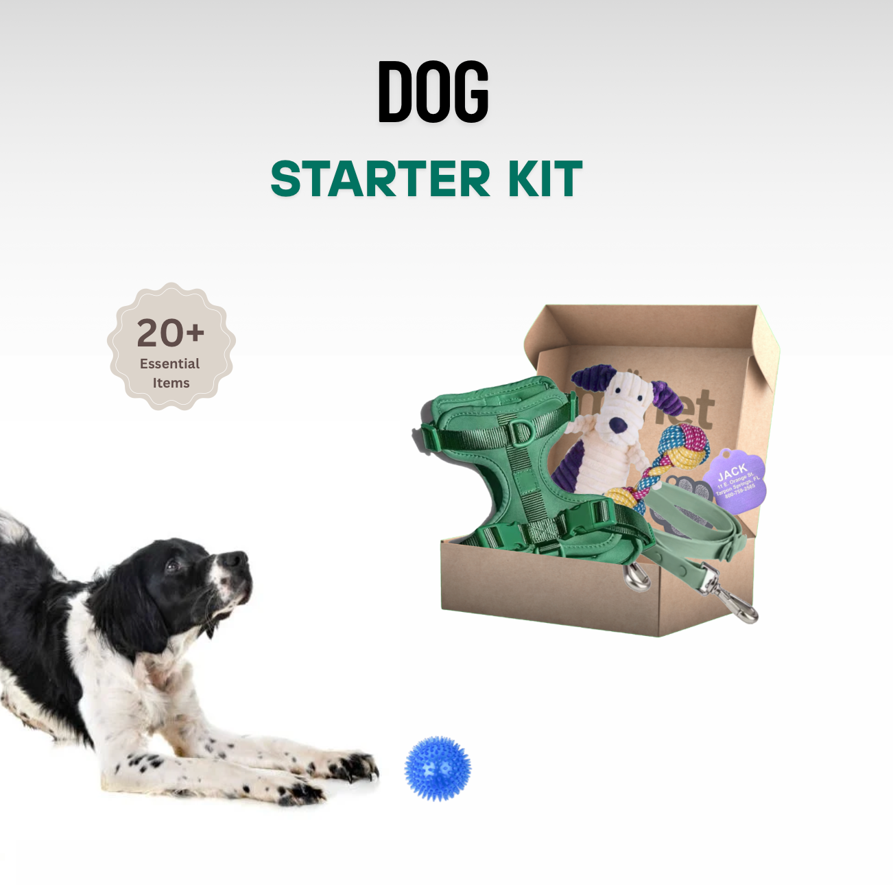 Minet Dog Starter Kit