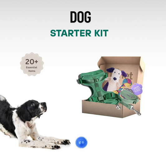 Minet Dog Starter Kit